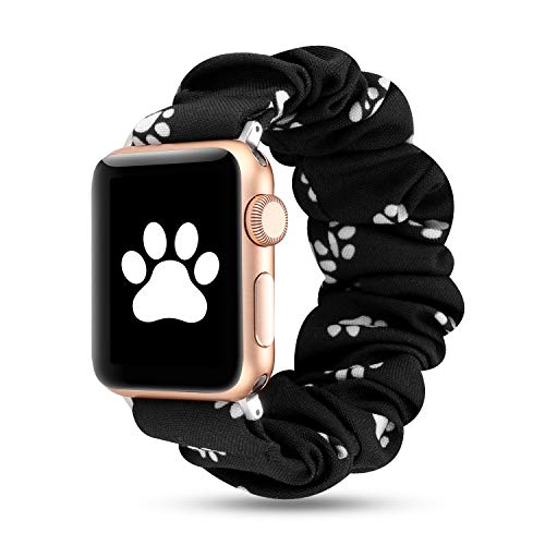 Dog paw