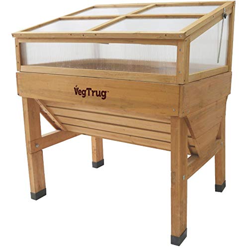 VegTrug Classic Cold Frame - Durable Spacious Wooden Garden Greenhouse for Seedlings & Plants (1m) | Perfect for Backyard Gardening, Urban Farming & Winter Plant Protection