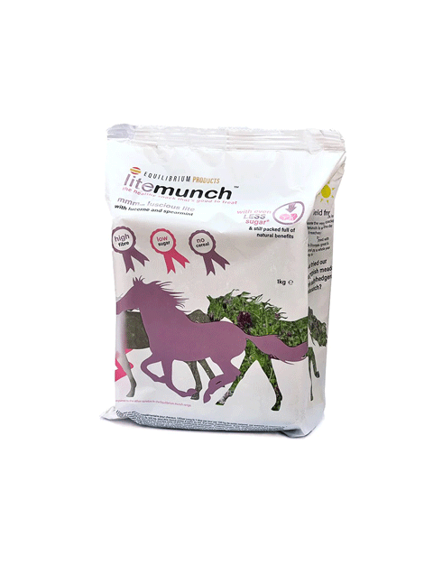 Equilibrium Munch Blocks - Healthy Dog Chew Treats for Small & Large Breeds - Long-Lasting Dental Care - Perfect for Training, Teething & Anxiety Relief