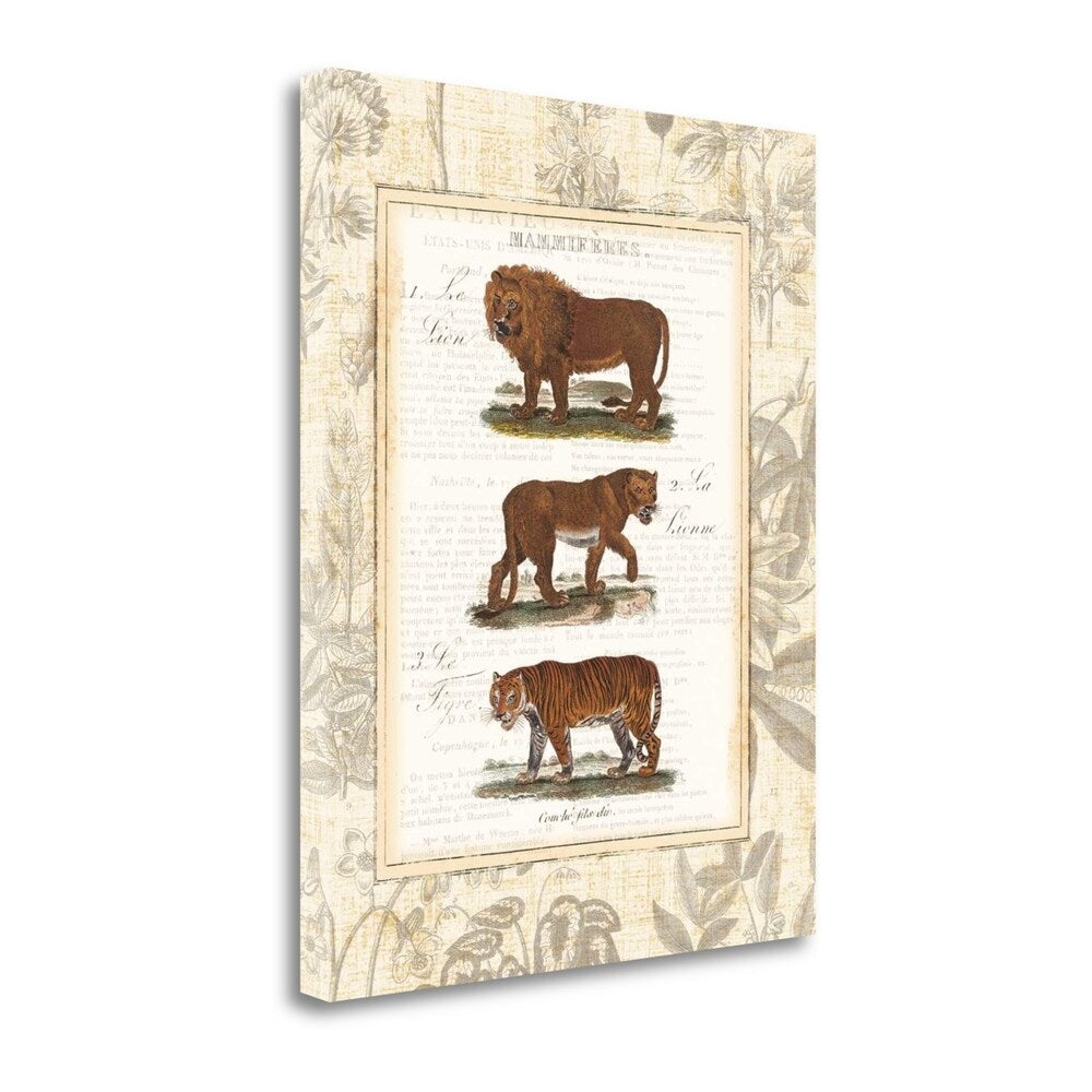 African Animals IV Art Print by Wild Apple - Giclee on Gallery Wrap Canvas - Perfect for Home Decor, Office & Safari-Themed Rooms