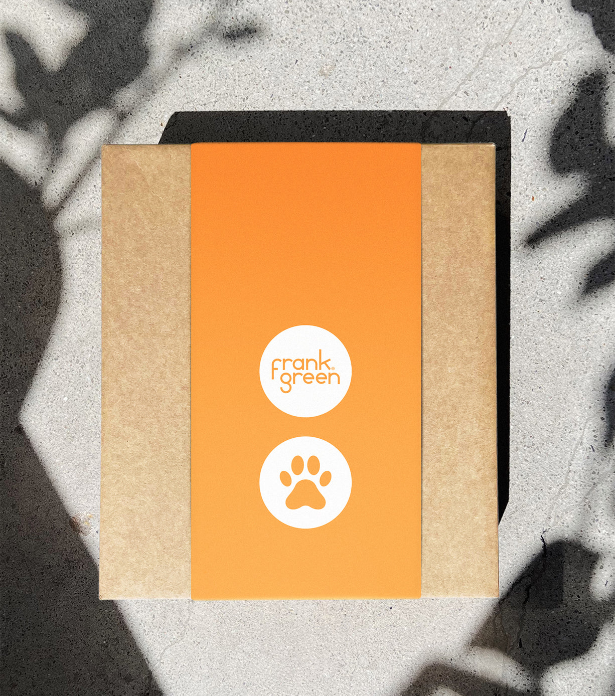 Premium Cat Gift Set for Pet Lovers - Cute Cat Toys, Treats & Accessories - Perfect for Birthdays, Holidays & Special Occasions