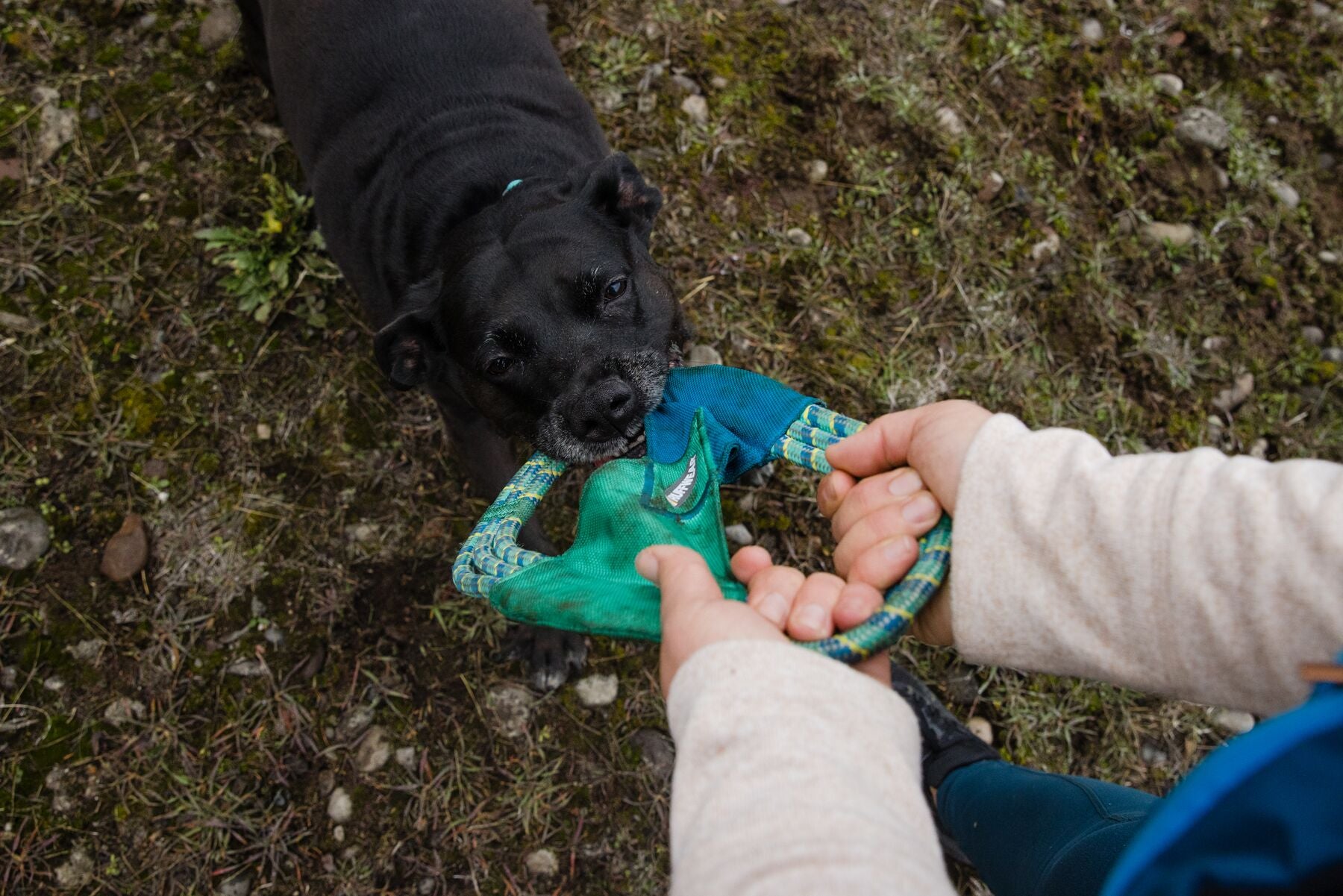Ruffwear® Pacific Ring Dog Toy - Orange/Yellow Chew-Resistant Fetch & Tug Toy for Active Dogs - Perfect for Outdoor Play, Training & Water Fun
