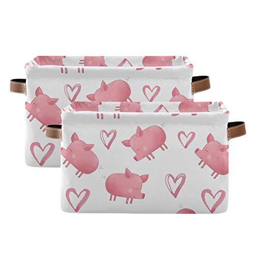Cute Pig
