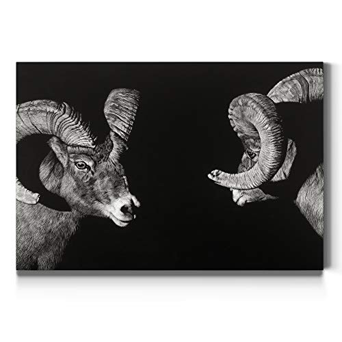 Wild Scratchboard (1)