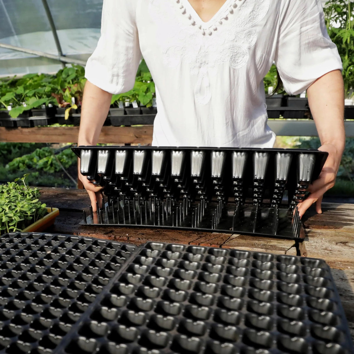 Bootstrap Farmer Plug Popper for Cell Trays - Seedling Transplanting Tool for Gardeners & Farmers - Perfect for Greenhouses, Nurseries & Home Gardening