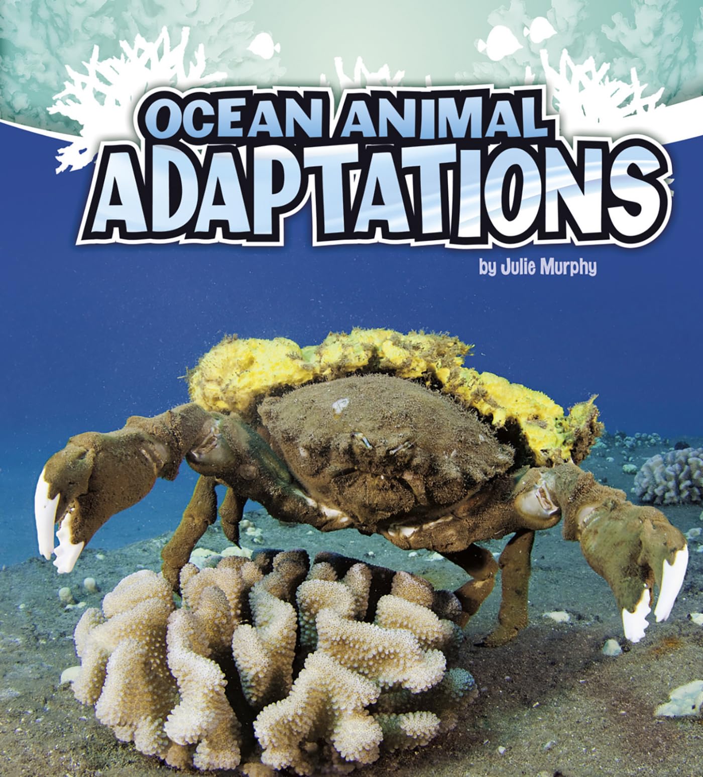 Ocean Animal Adaptations Book - Amazing Marine Life Survival Strategies | Educational Science Reading for Kids & Teachers | Perfect for Classroom Learning & Homeschooling