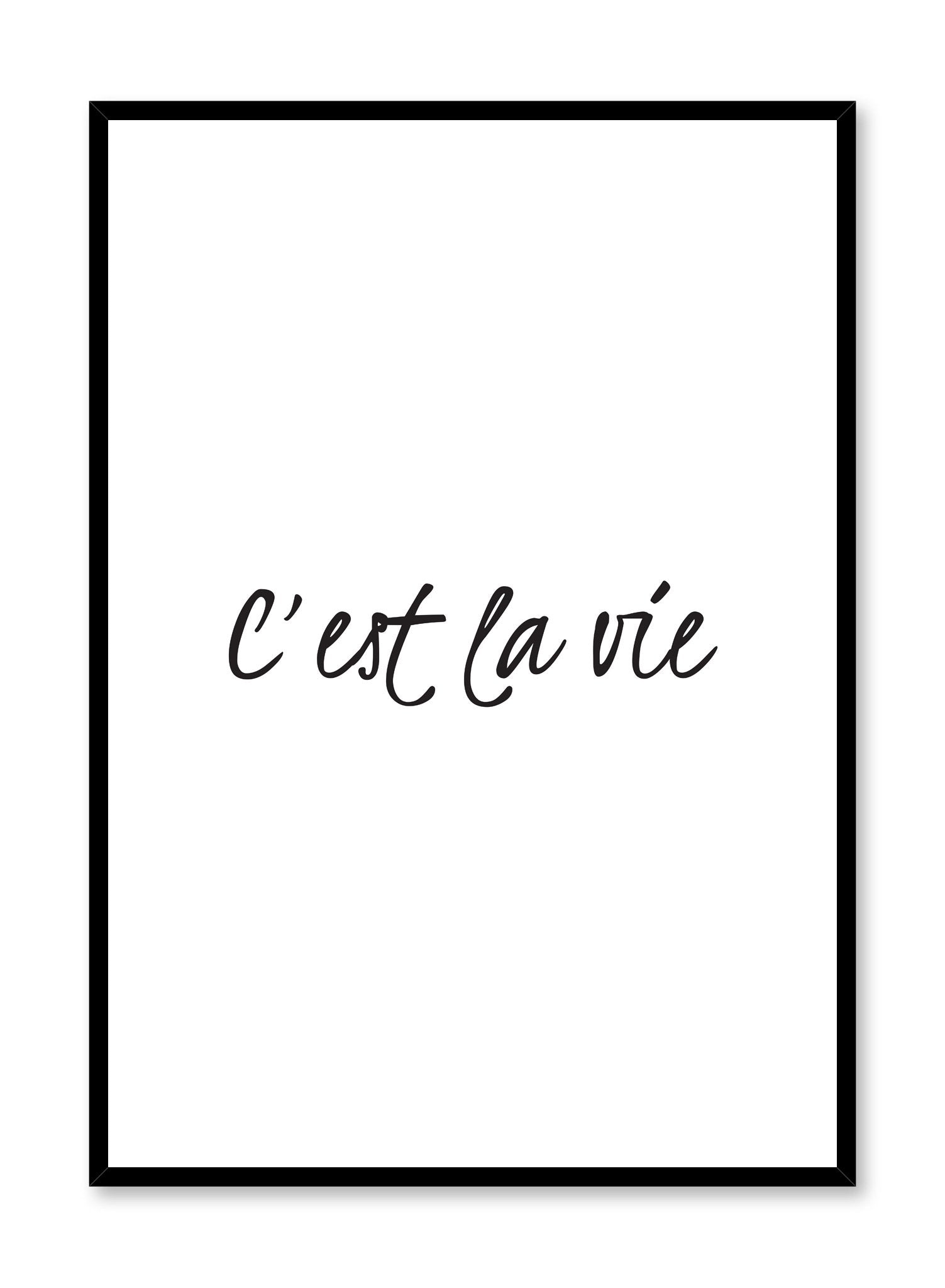 C'est La Vie Inspirational Wall Art Poster - Vintage French Quote Decor for Home, Office & Living Room - Perfect for Bedroom, Dorm & Gift Giving