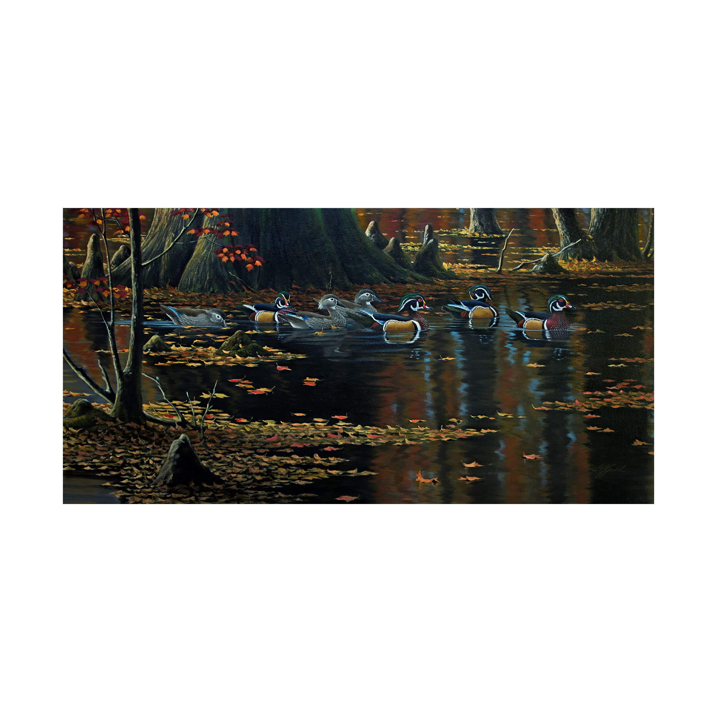 Trademark Fine Art 'Cypress Jewels Wood Ducks' Canvas Wall Art by Wilhelm Goebel - Hand-Painted Duck Painting for Living Room, Bedroom & Office Decor