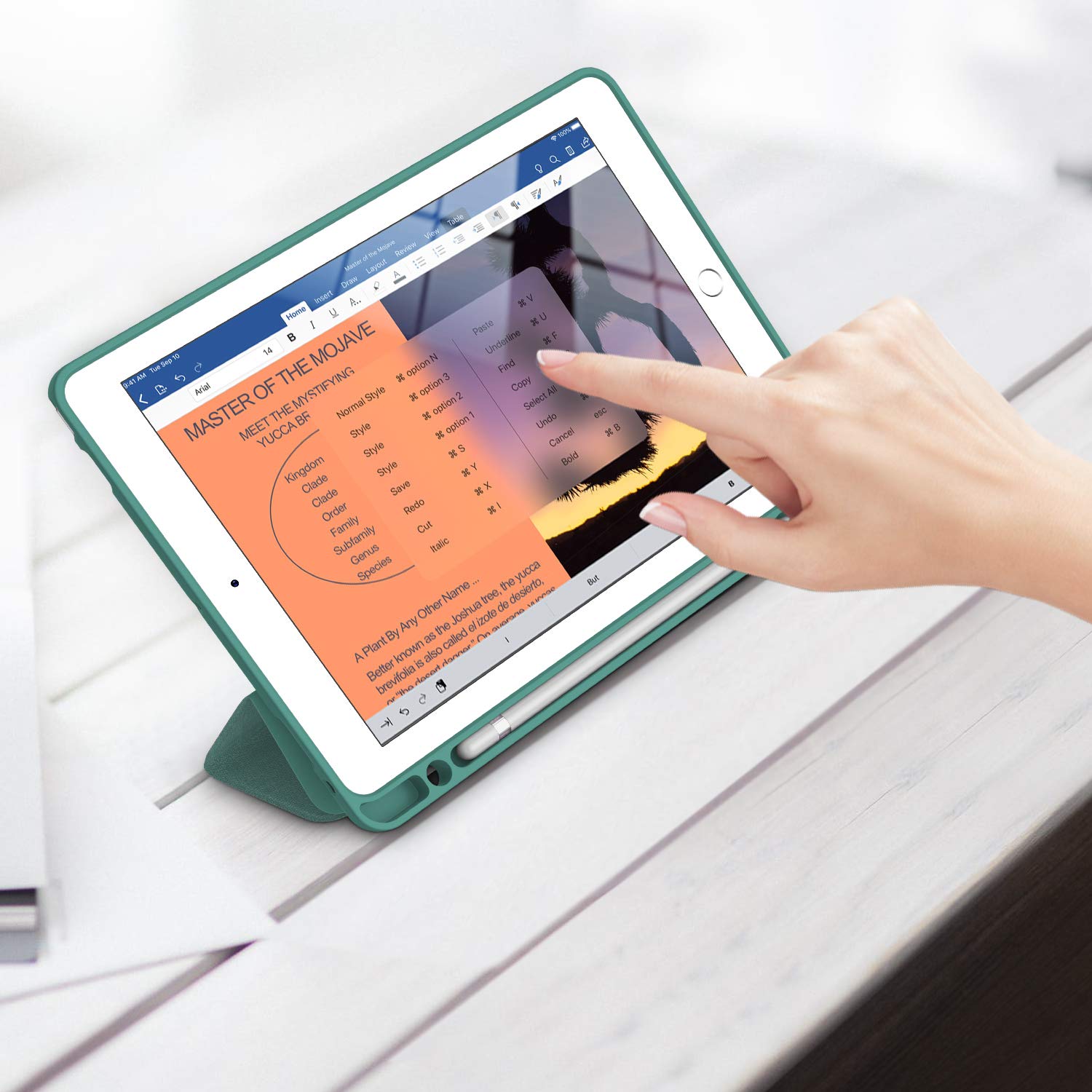 Premium Smart Case for iPad Air 3 (2019) & iPad Pro 10.5 (2017) - Ultra Slim TPU Back Cover with Pencil Holder | Auto Sleep/Wake | Strong Protection | Lake Blue | Perfect for Work, Travel & School Use