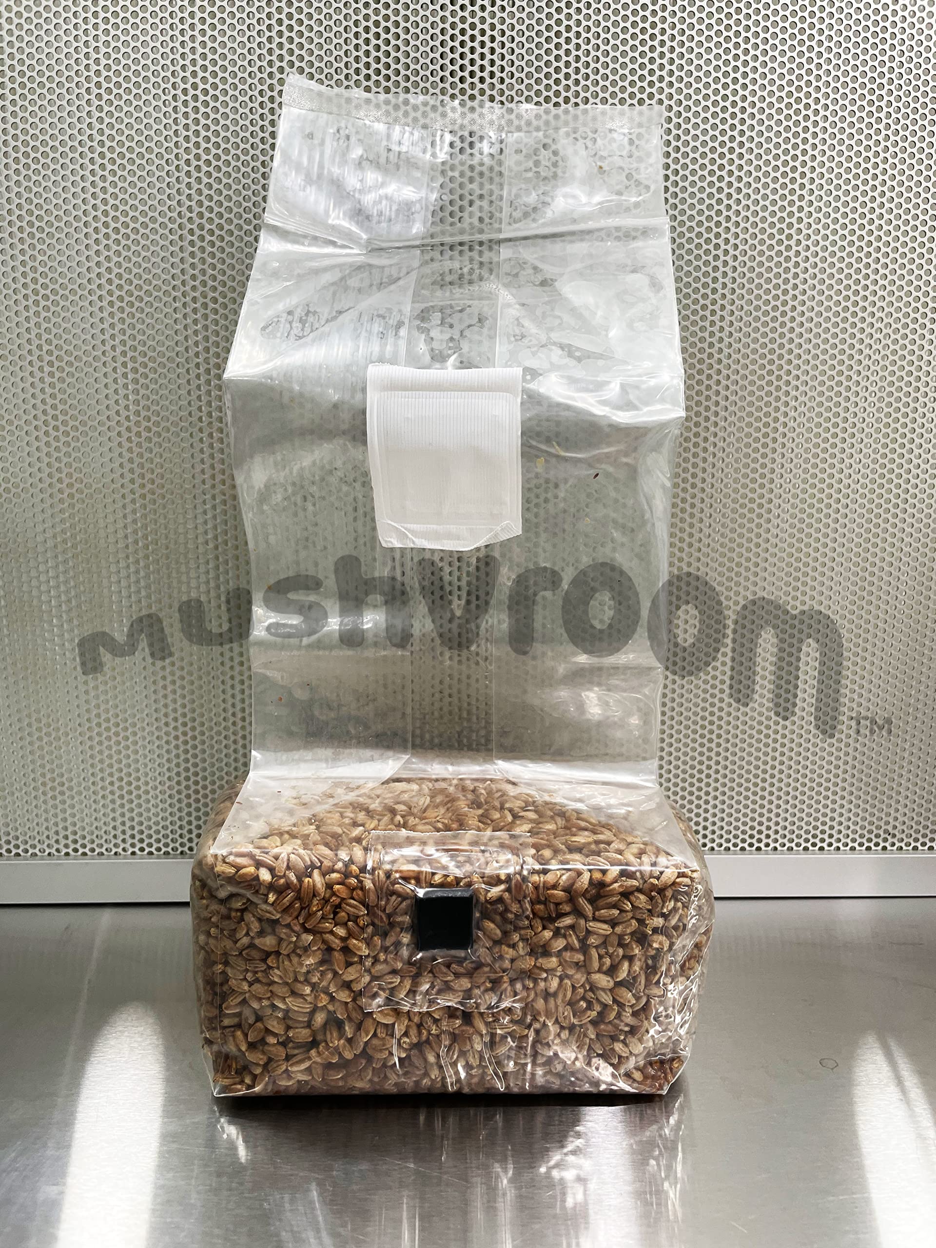 Organic Sterilized Rye Berry Grain Bags - Biodegradable Mushroom Growing Substrate for Home Cultivation & Mycology Labs | Perfect for Oyster, Shiitake, and Lion's Mane Mushrooms