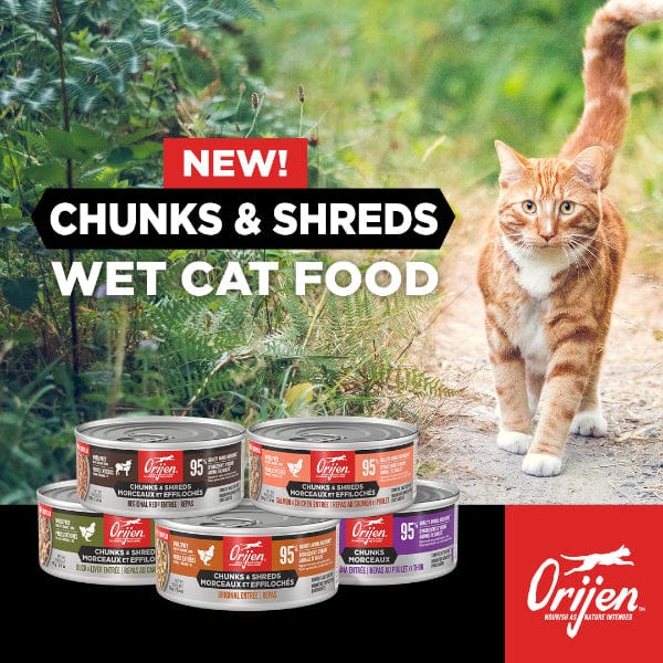 Orijen Original Chunks & Shreds Entrée Canned Cat Food - Grain-Free, High-Protein Wet Cat Food for Adult Cats, 5.5oz Can - Perfect for Mealtime, Travel & Treats