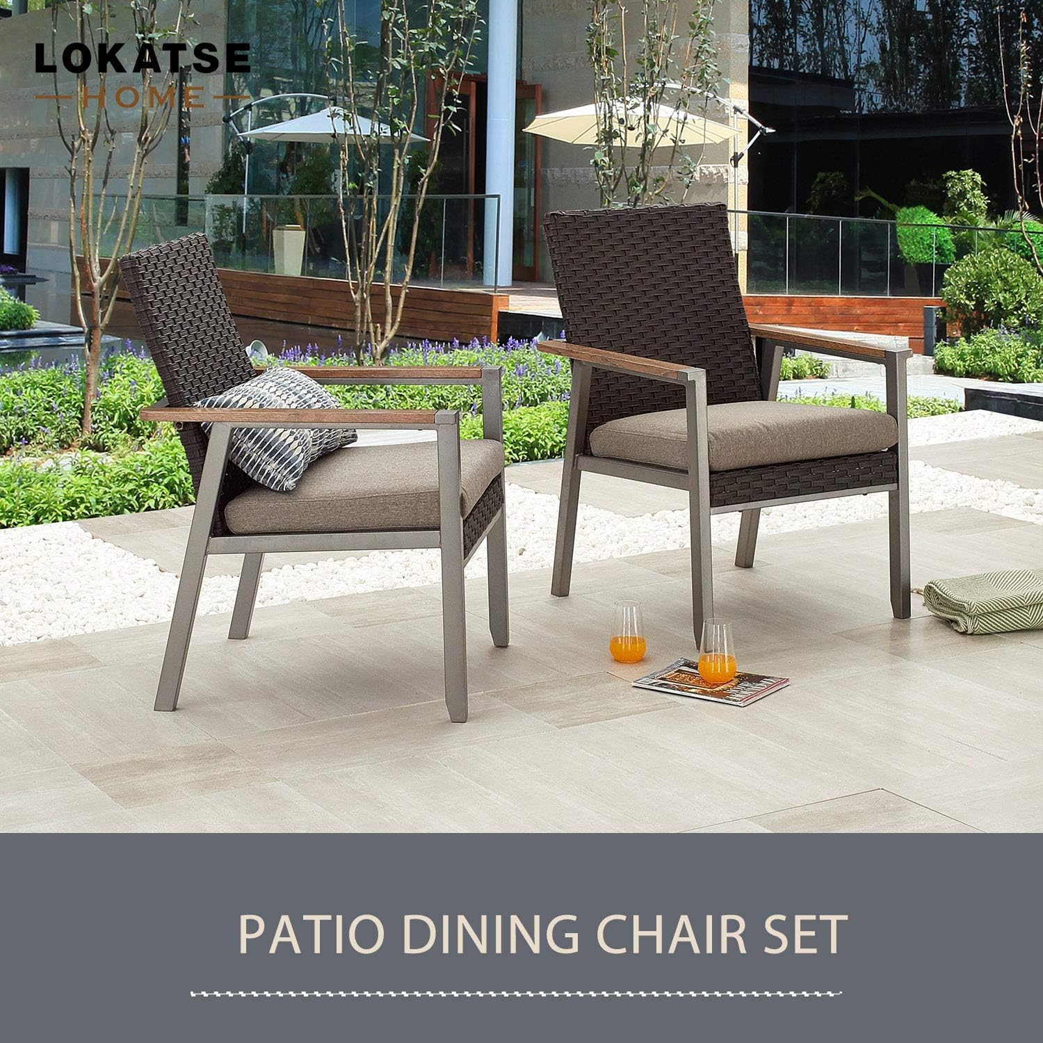 LOKATSE HOME 2-Piece Gray Outdoor Wicker Dining Chair Set - Patio Rattan Furniture with Cushions, Weather-Resistant Metal Armchairs for Garden, Poolside, and Backyard Relaxation