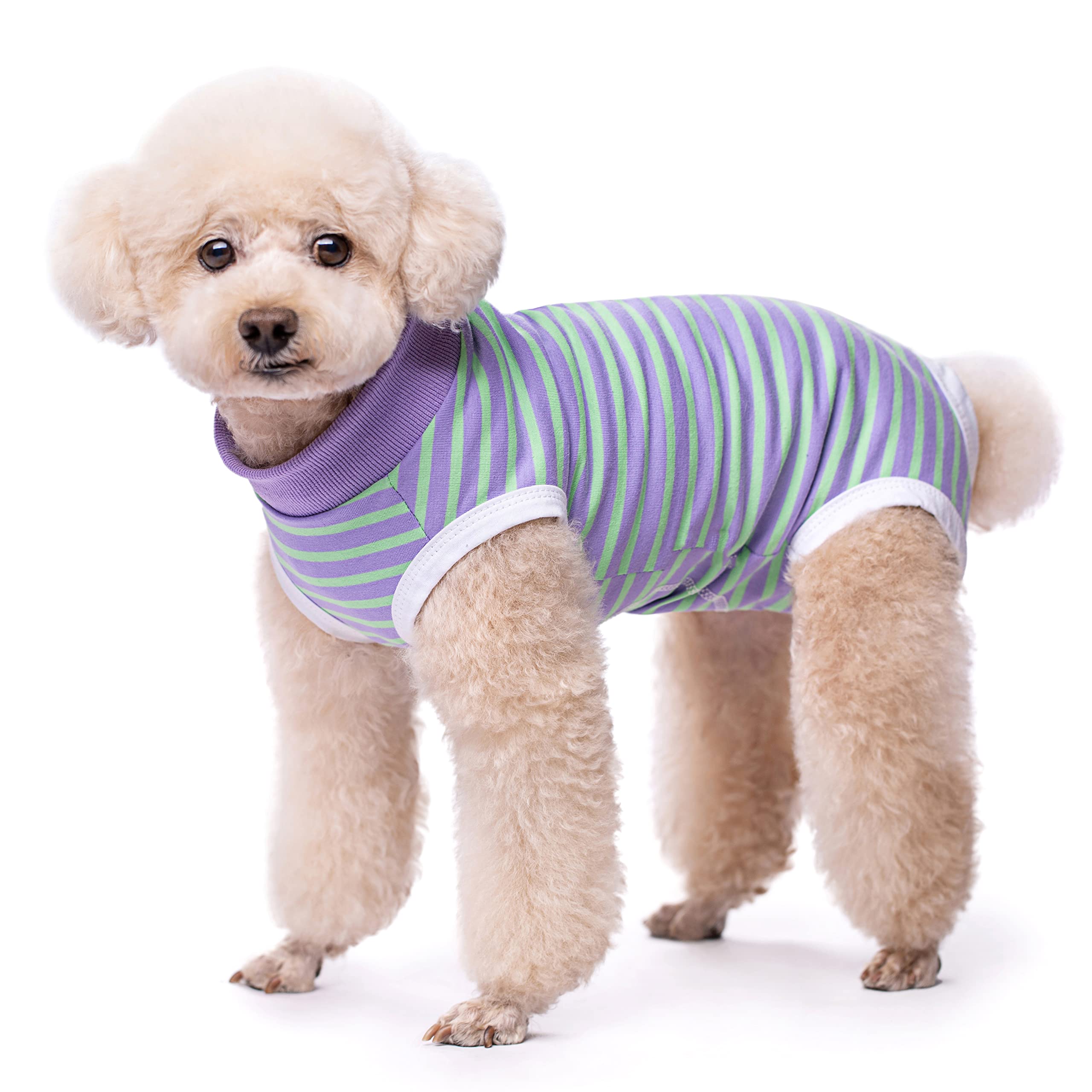 **Dog Recovery Suit for Puppies & Cats – Post-Surgery Protective Onesie, Abdominal Wound Healing Shirt, Cone Alternative for Small Dogs – Prevents Licking & Keeps Warm – Perfect for Post-Op Care, Spay/Neuter Recovery, and Skin Protection**