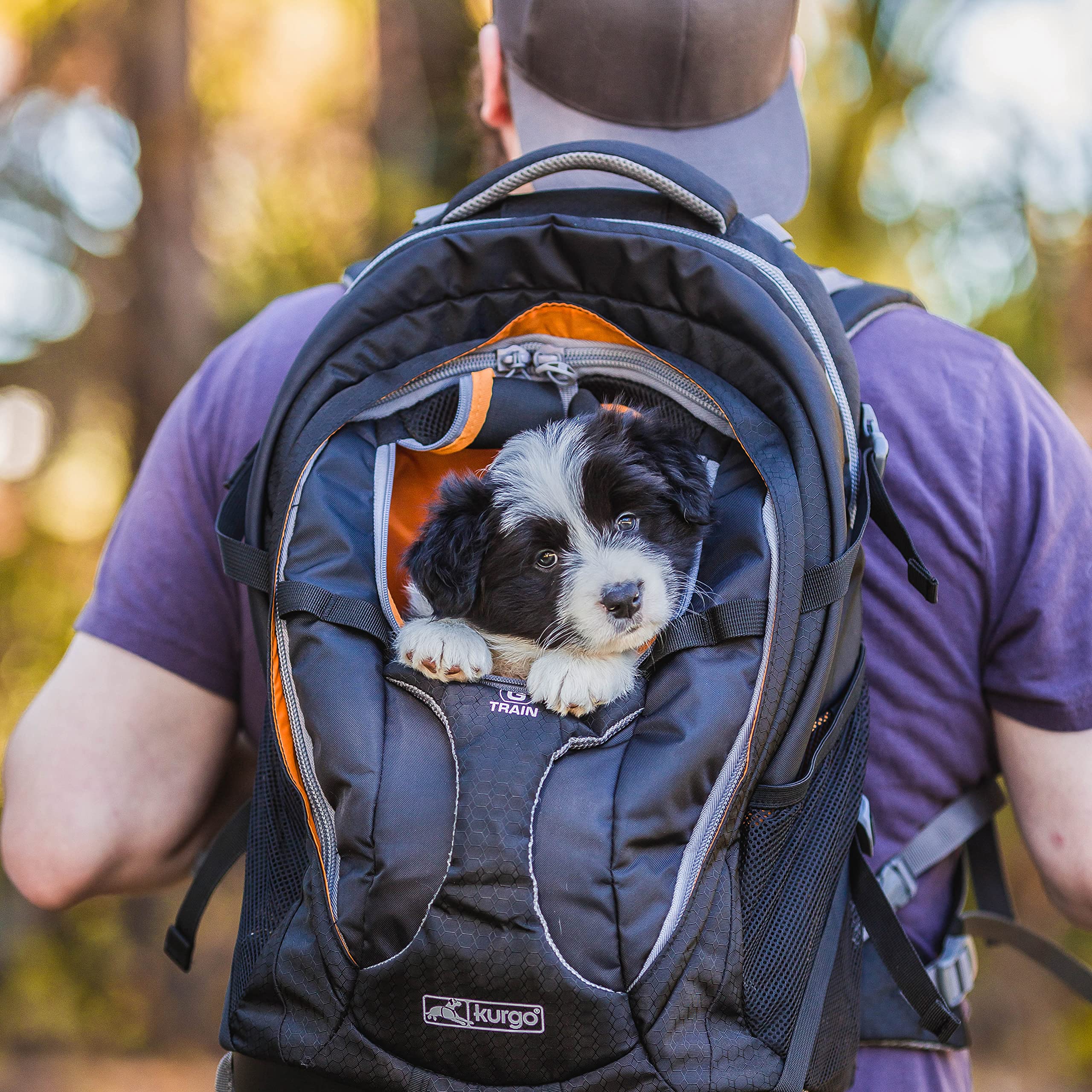 Kurgo G-Train Airline Approved Dog Carrier Backpack for Small Dogs & Cats Under 25 lbs - TSA Compliant Pet Travel Bag in Navy Blue - Perfect for Airplane, Hiking & Outdoor Adventures