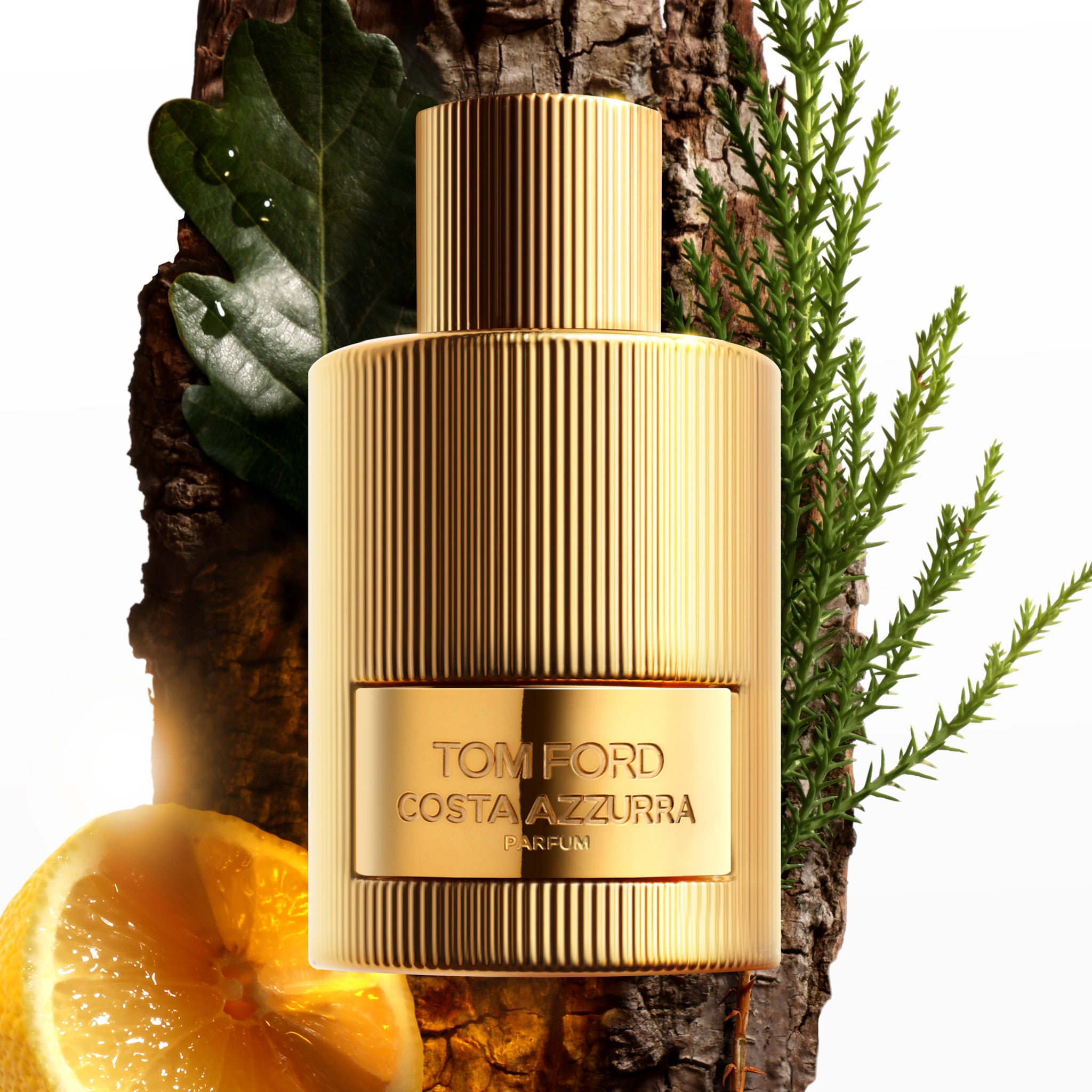 Costa Azzurra Perfume for Women & Men - Luxury Italian Fragrance with Fresh Citrus & Woody Notes - Perfect for Date Night, Office & Special Occasions