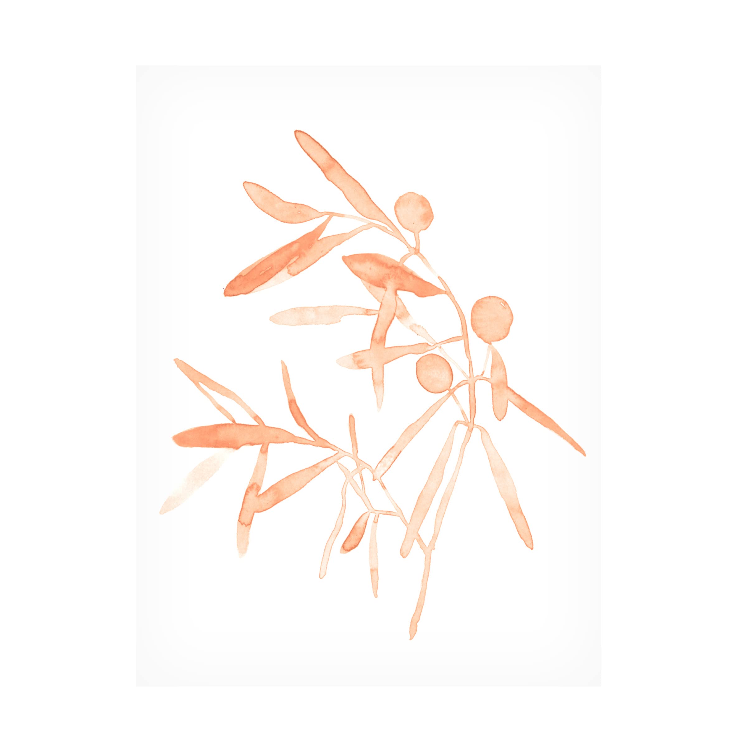 Emma Scarvey 'Blush Olive Branch IV' Canvas Wall Art Print - Modern Floral Home Decor for Living Room, Bedroom & Office - Trademark Fine Art Collection