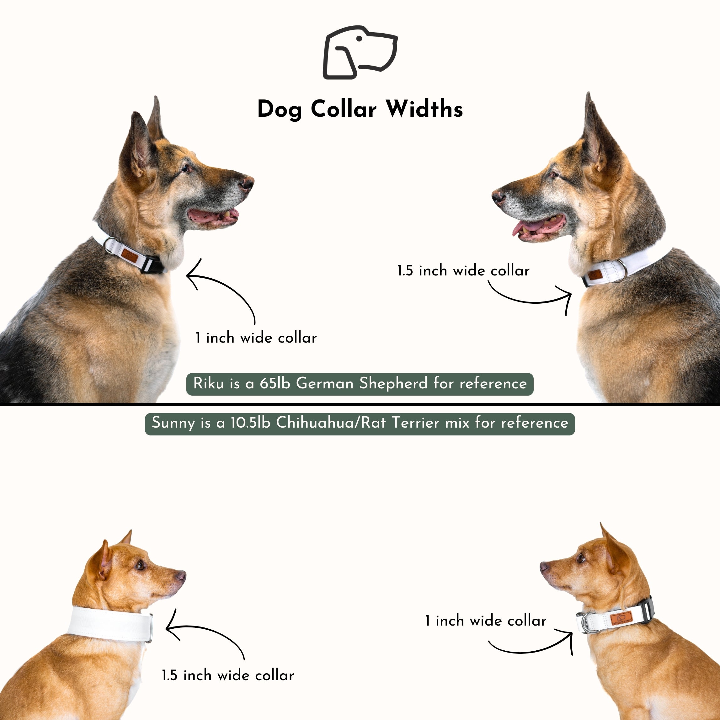 Rainbow Ridge Dog Collar - Limited Edition Artist Design Pet Collar for Small Medium Large Dogs - Perfect for Daily Walks, Training & Fashion Accessories