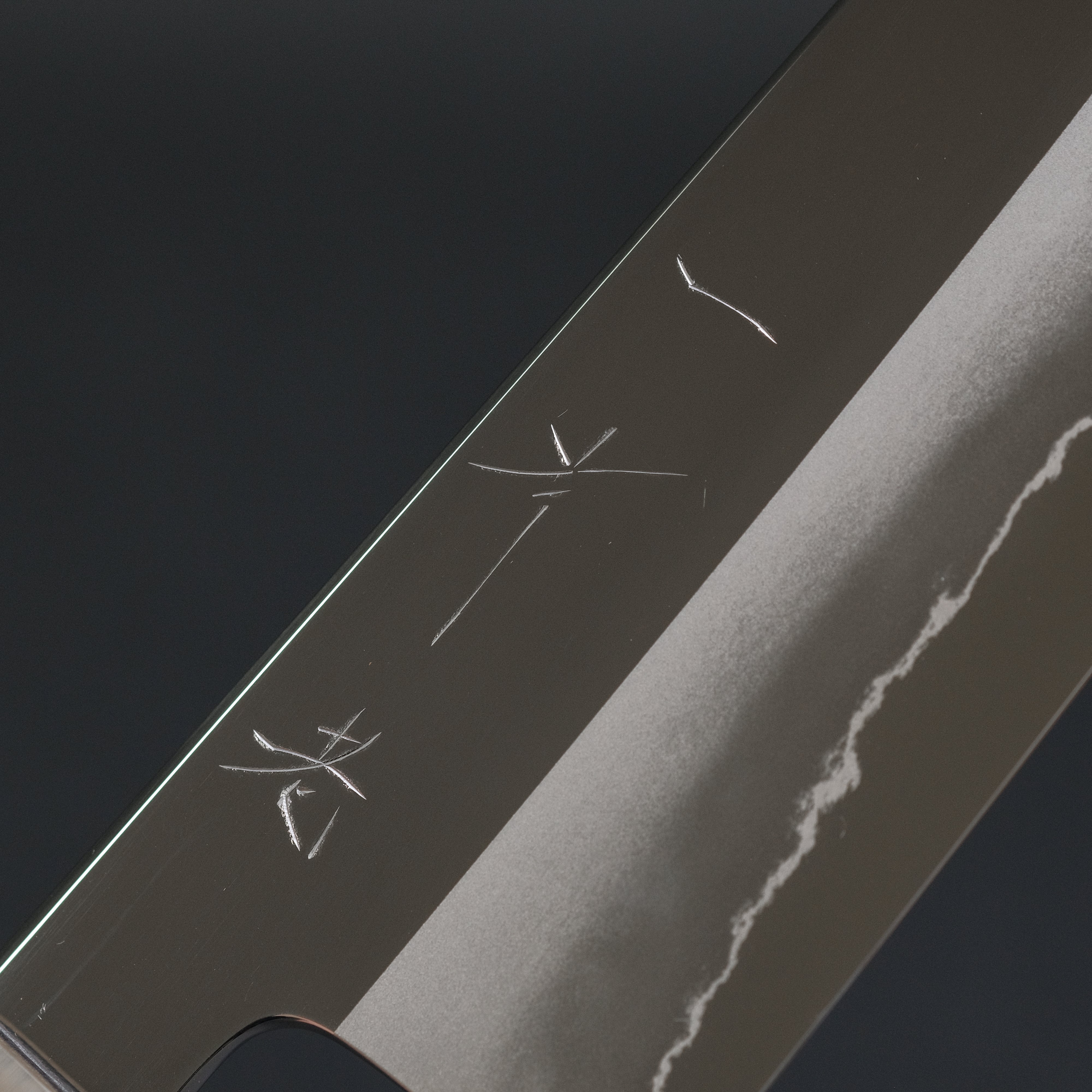 Hitohira Kikuchiyo Rou Silver #3 Mirror Polished Gyuto 210mm Japanese Chef Knife with Ebony Handle - Perfect for Sushi, Meat Cutting & Professional Kitchen Use