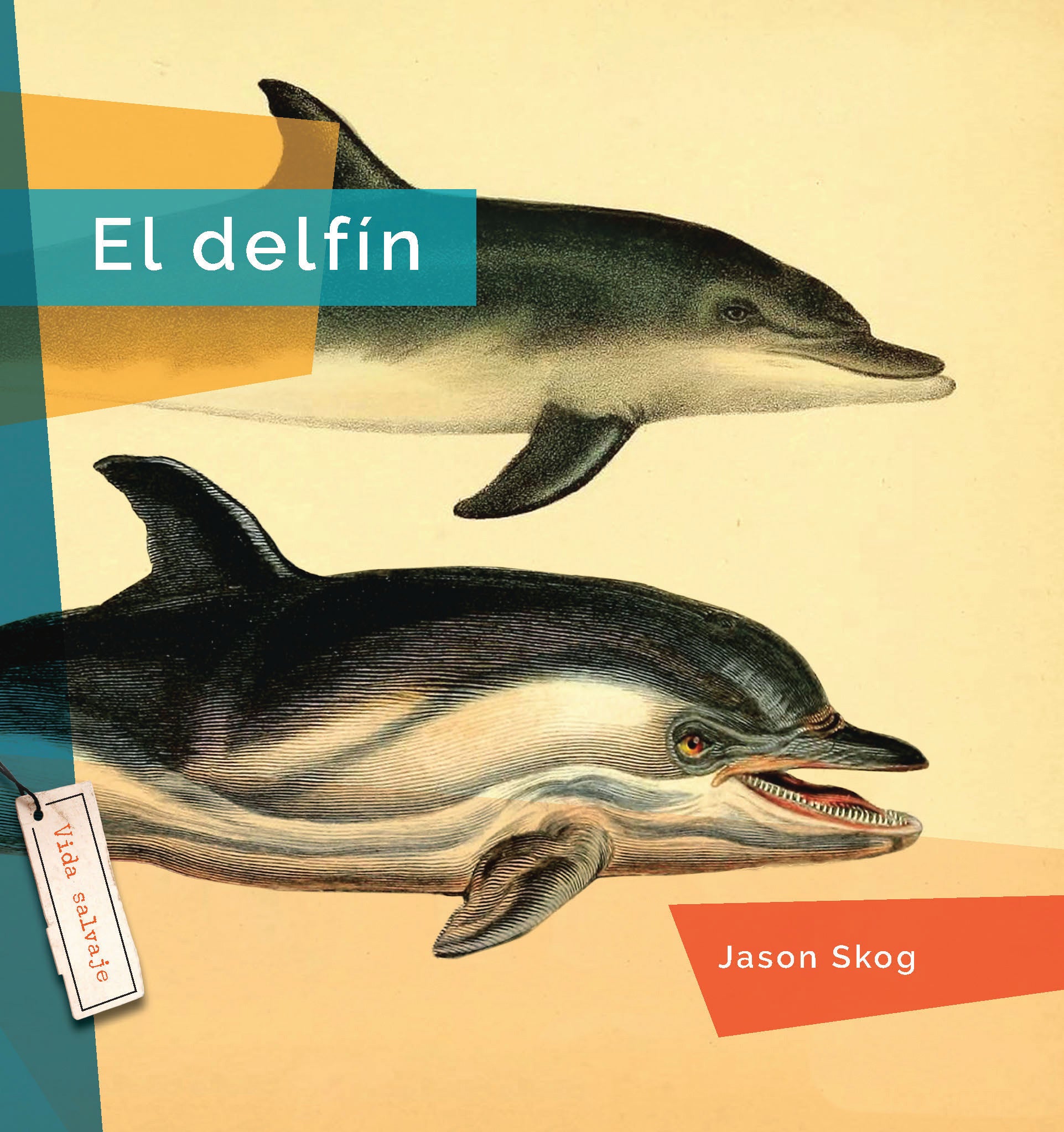 El Delfín 9781640267381 - Bilingual Children's Book in English and Spanish - Perfect for Storytime, Classroom Learning & Bilingual Education