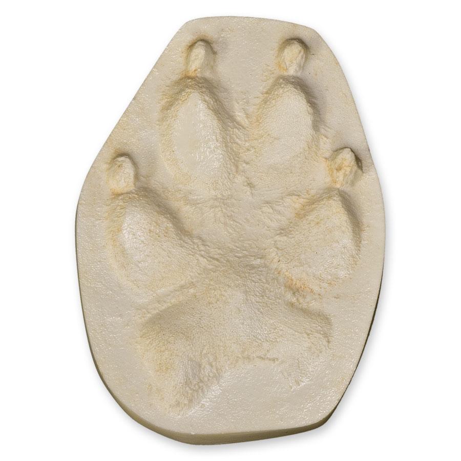 Authentic Gray Wolf Paw Print Replica - Lifelike Animal Track Decoration for Home, Office & Outdoor Decor
