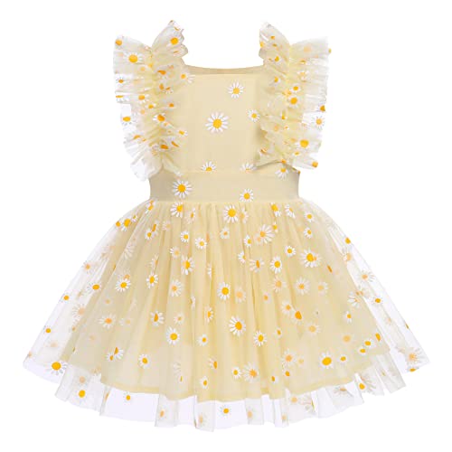 Yellow Daisy