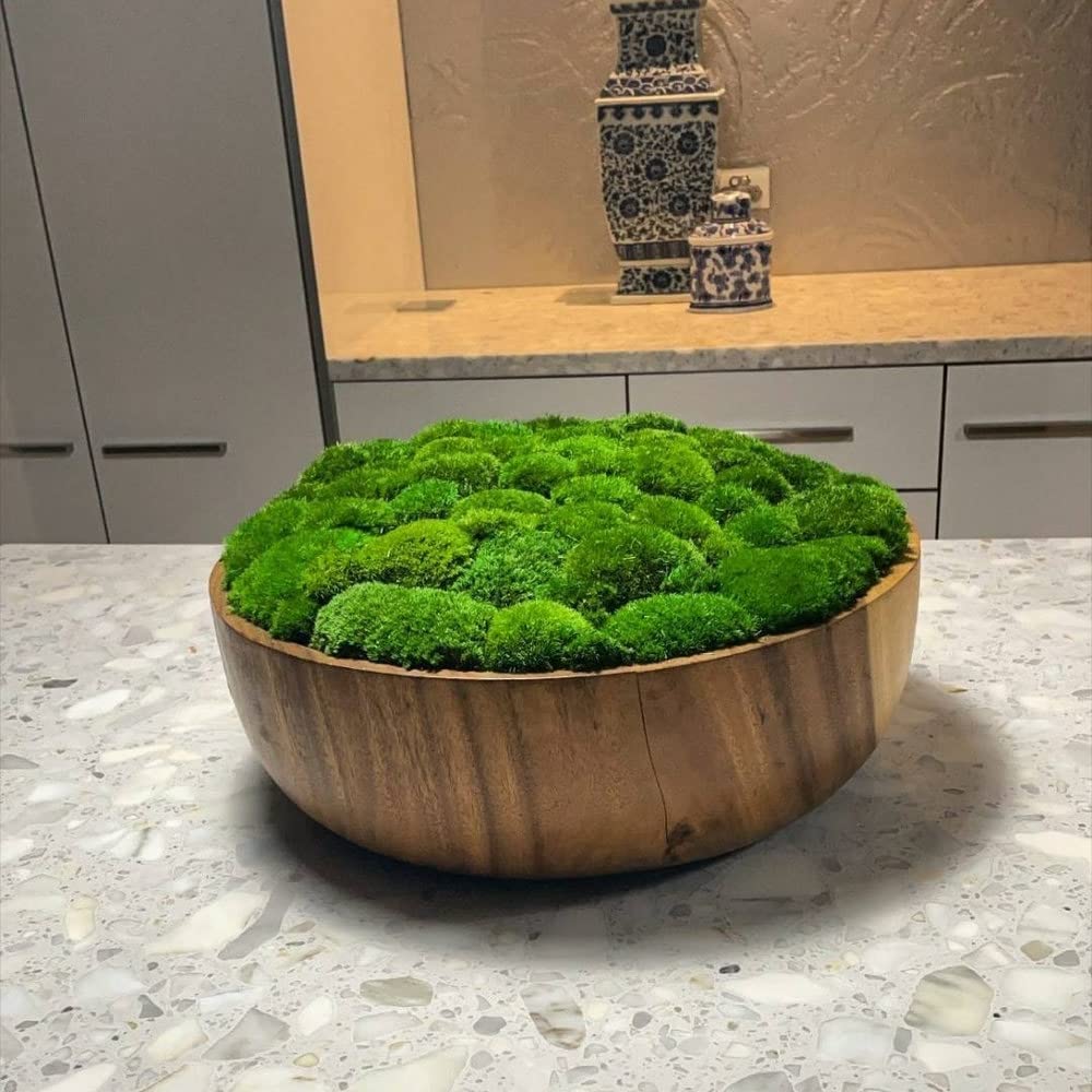 Preserved Pole Moss Pillow Bun Cushion - 4.5 sq.ft Natural Green Moss for DIY Terrariums, Gardening, Wall Decor, Florist Arrangements, Easter & Wedding Table Decor - Perfect for Home, Office & Event Decoration