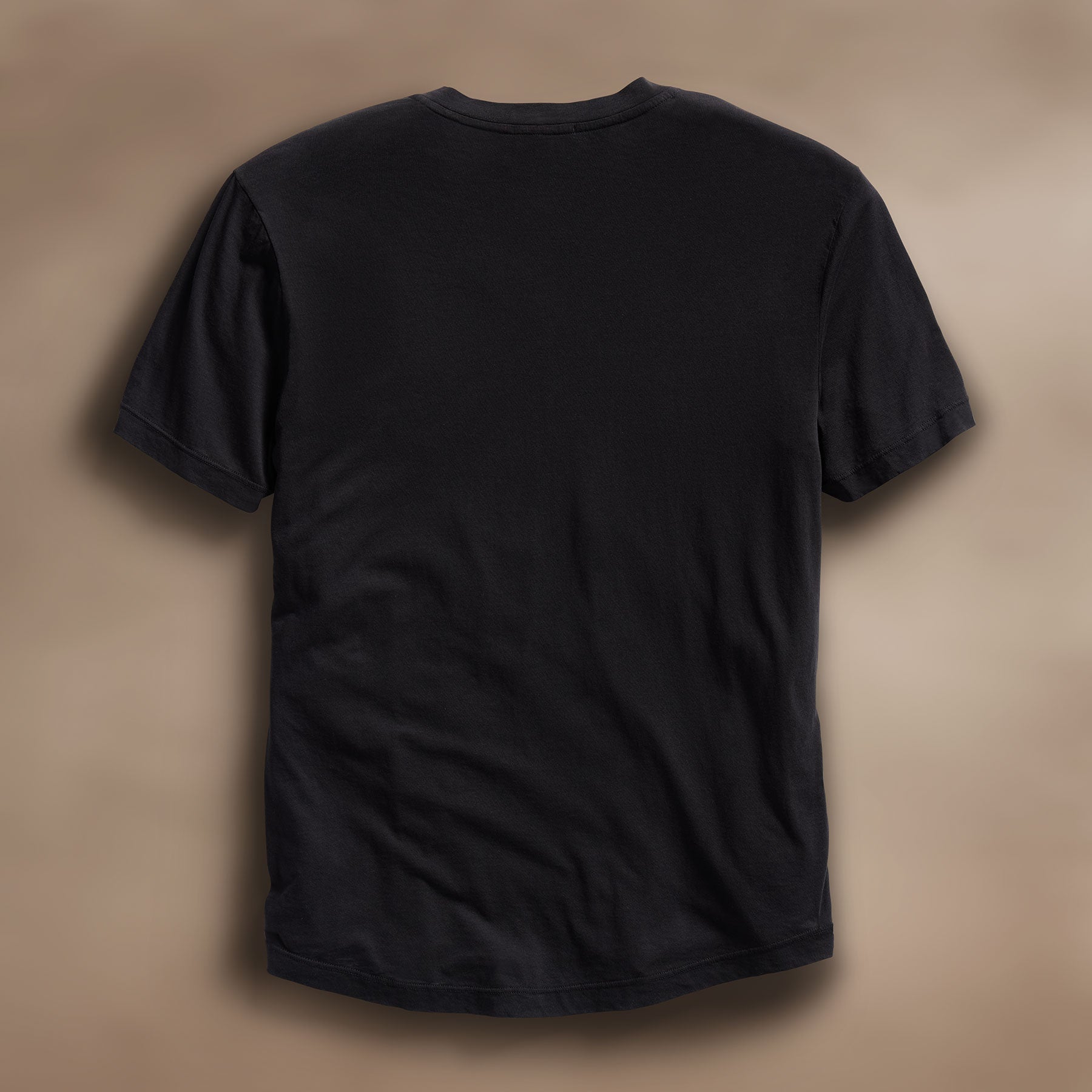 Clear Jersey V Neck T-Shirt for Women - Soft & Comfortable Black Top for Casual Wear & Layering