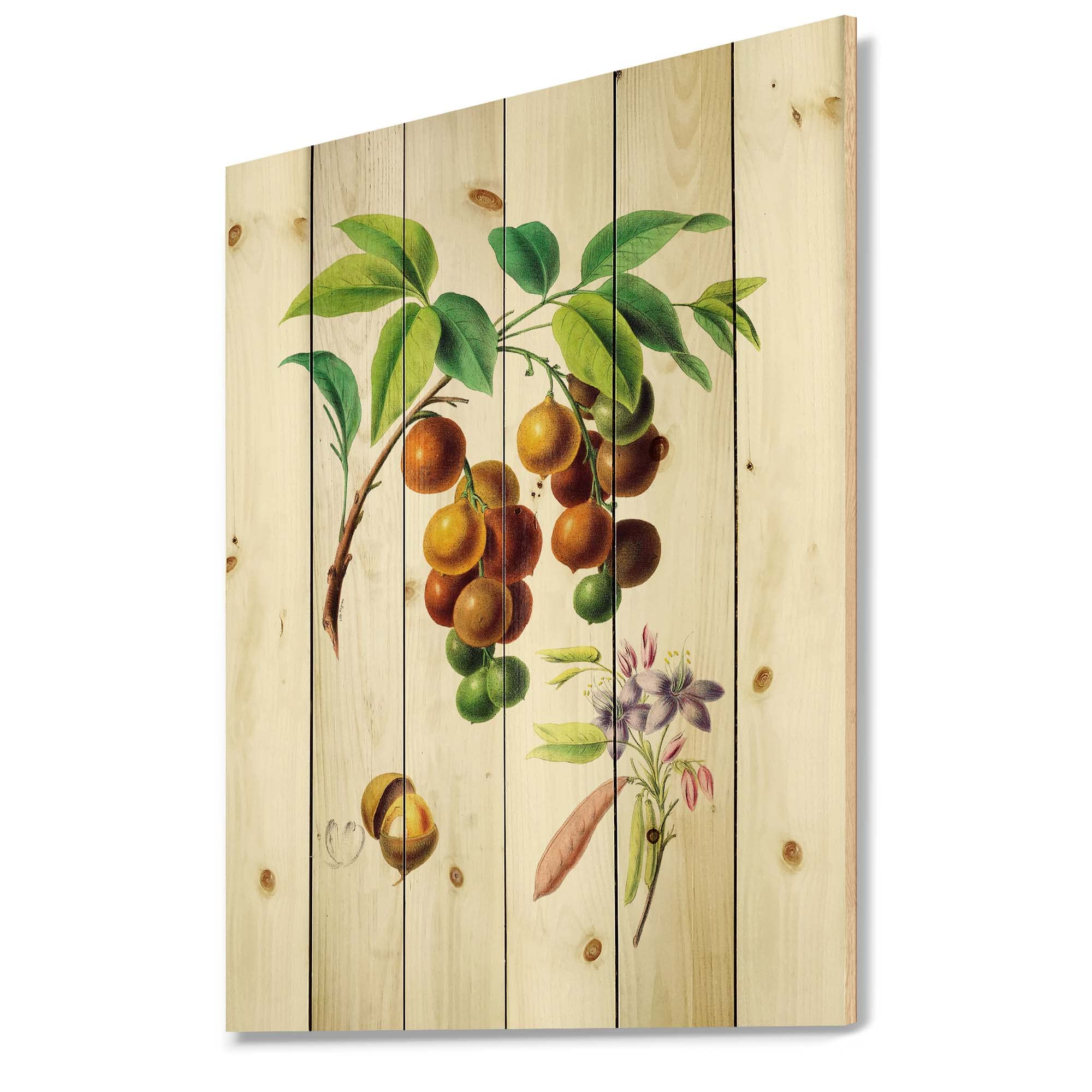 Vintage Fruits Farmhouse Wood Wall Decor - Large Green Wood Wall Art Panel with Food & Beverage Design, Natural Pine Wood Wall Hanging for Kitchen, Dining Room & Country Home Decor