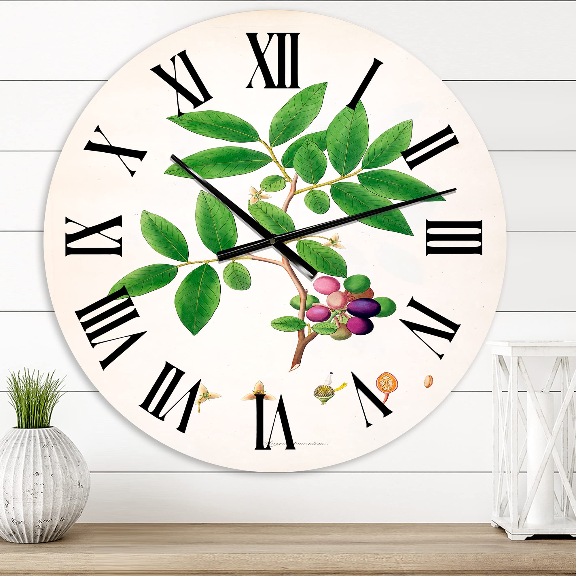 Vintage London Plants XI Farmhouse Wall Clock - Large Floral & Botanical Wall Decor for Bedroom, Living Room, Kitchen & Office | Silent Non-Ticking Rustic Home Decor