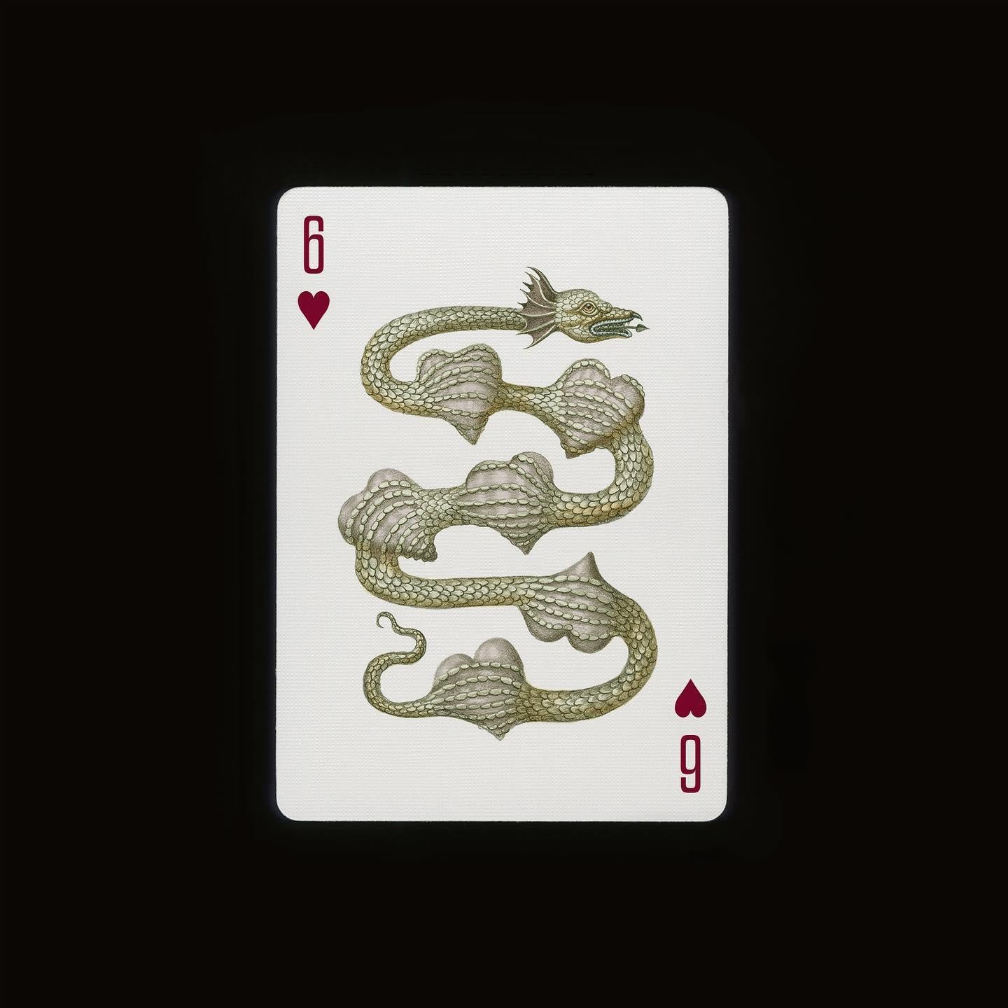 Premium Cabinetarium Playing Cards - Unique Vintage Design Deck for Poker, Magic Tricks & Card Games | Perfect for Game Nights, Collectors & Gifts