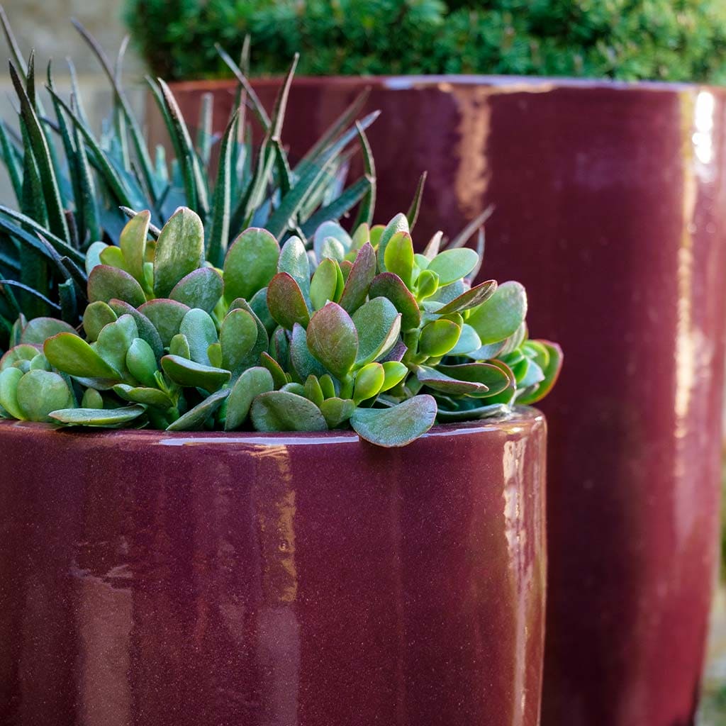 Campania International Rioja Planter Set of 2 - 12 Inch Decorative Flower Pots in Plum for Indoor & Outdoor Plants, Patio, Garden Decor - Perfect for Succulents, Herbs, and Home Décor
