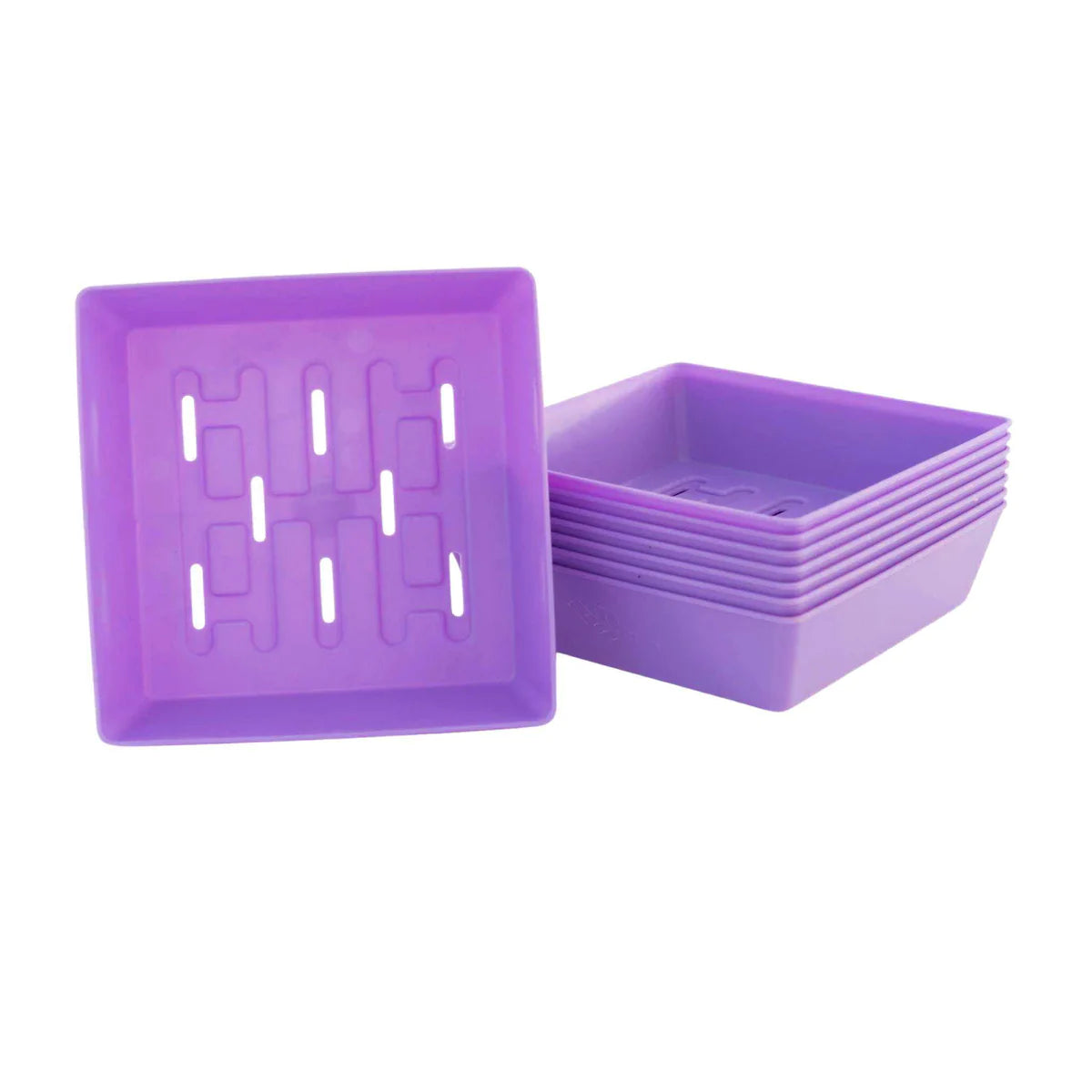 Bootstrap Farmer 5x5 Shallow Microgreen Trays - Durable Seed Starter Trays for Indoor Gardening, Hydroponics & Organic Farming - Perfect for Home Growers & Commercial Use