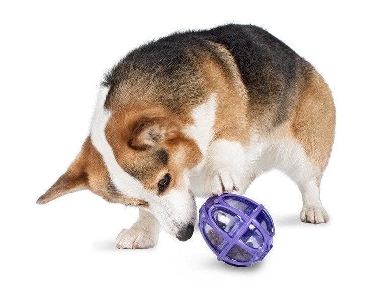 Busy Buddy® Kibble Nibble™ Dog Toy - Interactive Treat Dispenser for Small & Medium Dogs - Slow Feeder Puzzle Game for Mental Stimulation - Perfect for Boredom Relief & Training Sessions