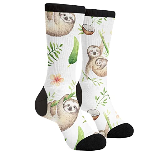Cute Sloth Lovers White
