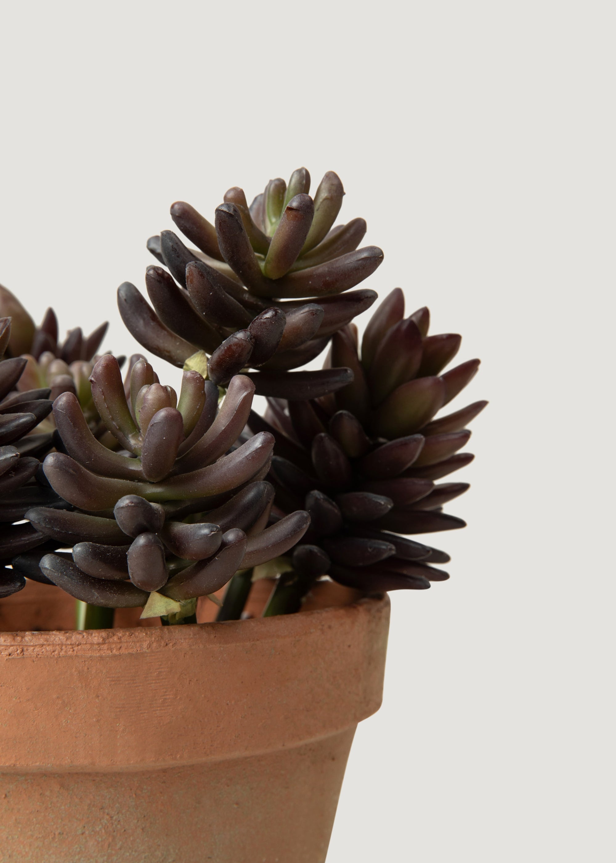 Realistic Artificial Potted Succulent Plants Set of 11 - Low Maintenance Home & Office Desk Decor for Modern Interior Design