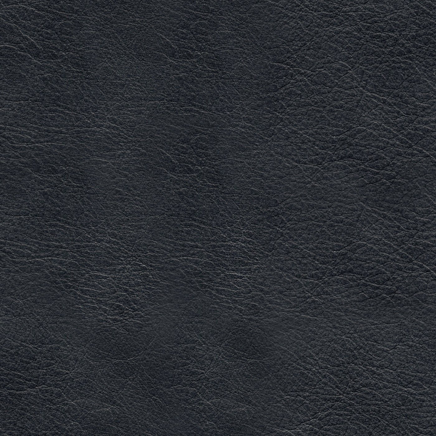 Lil Navy - Premium Navy Blue Clothing & Accessories for Men, Women & Kids | Casual Wear, Workout & Everyday Fashion