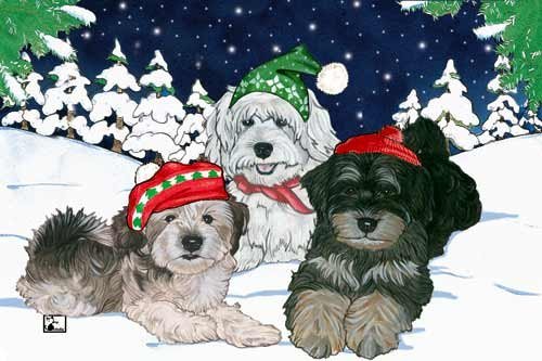 Havanese Christmas Holiday Cards - Pack of 10 Festive Greeting Cards with White Envelopes | Perfect for Holiday Wishes, Gift Giving & Seasonal Decorations