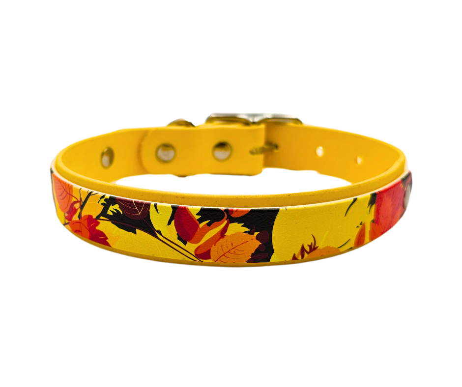 Durable Biothane Dog Collar & Ruff Duet Set - 25mm Width for Medium Dogs - Perfect for Training, Hiking & Outdoor Adventures