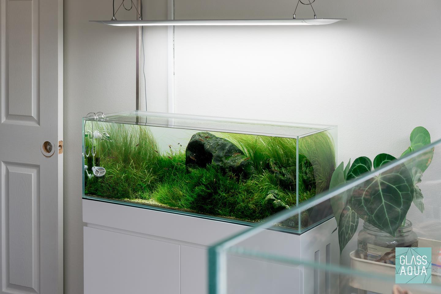 Premium UNS Rimless Long Glass Aquarium Tank - Crystal Clear View for Nano Fish & Shrimp | Perfect for Home Office, Living Room Decor & Zen Aquascaping