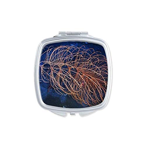 DIYthinker Ocean Water Line Science Nature Picture Mirror - Portable Compact Pocket Makeup Mirror with Double Sided Glass for Travel, Home & Office Use
