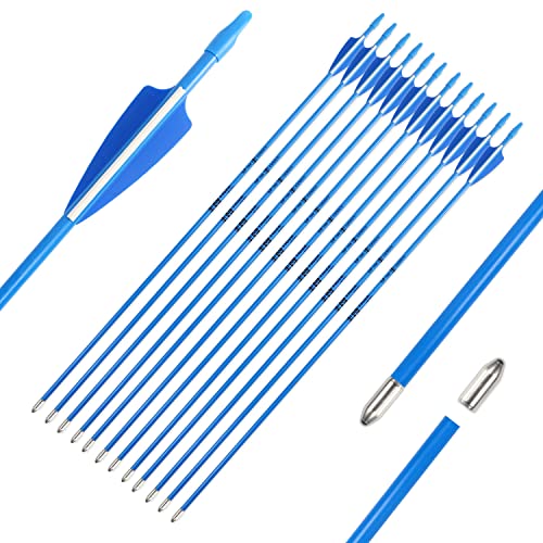 Blue Bullet tips