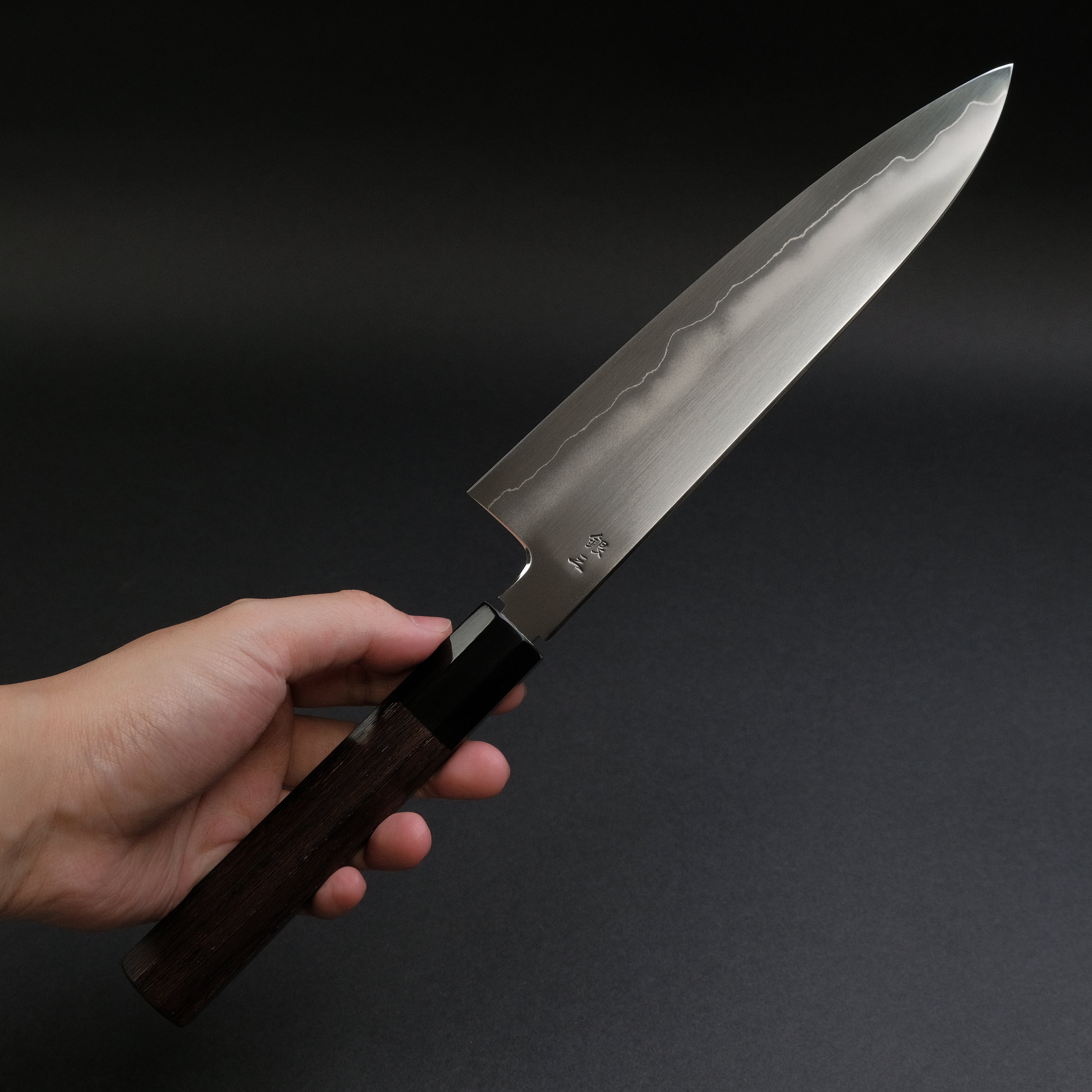 Tetsujin Silver #3 Ukiba Gyuto 210mm Japanese Chef Knife with Taihei Tagayasan Handle - Professional Kitchen Knife for Slicing, Dicing & Precision Cooking