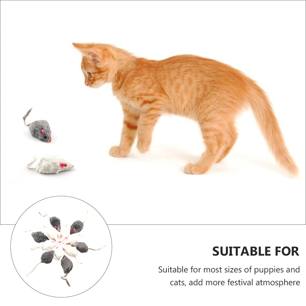 Balacoo 12-Piece Plush Cat Toys Set - Interactive Stuffed Animal Chasing Toys for Cats & Dogs, Realistic Chew Toys for Pet Exercise, Play & Training - Perfect for Indoor Playtime & Stress Relief