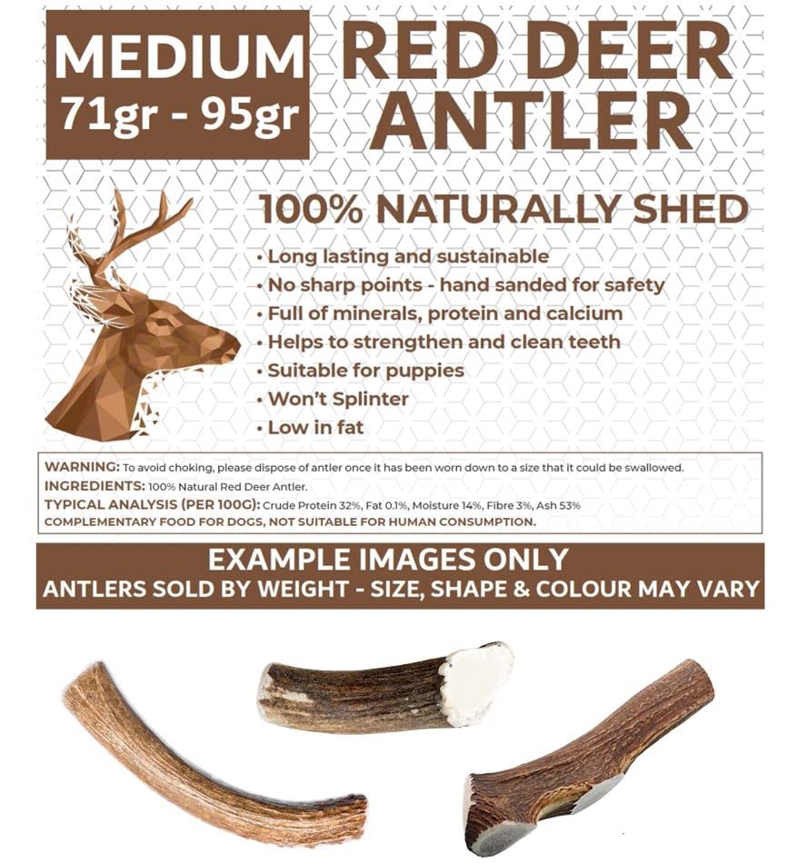 **Premium Naturally Shed Deer Antlers for Dogs – Medium Size, Sustainable & Safe Dog Chew Toy – Long-Lasting Dog Treat for Aggressive Chewers – Ideal for Teething, Dental Health & Boredom Relief**