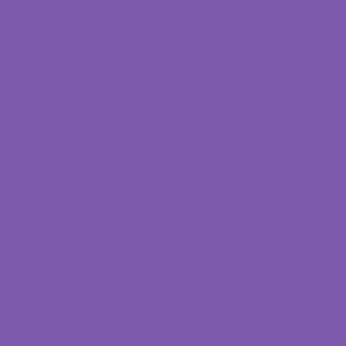 #2 Purple(Plain)
