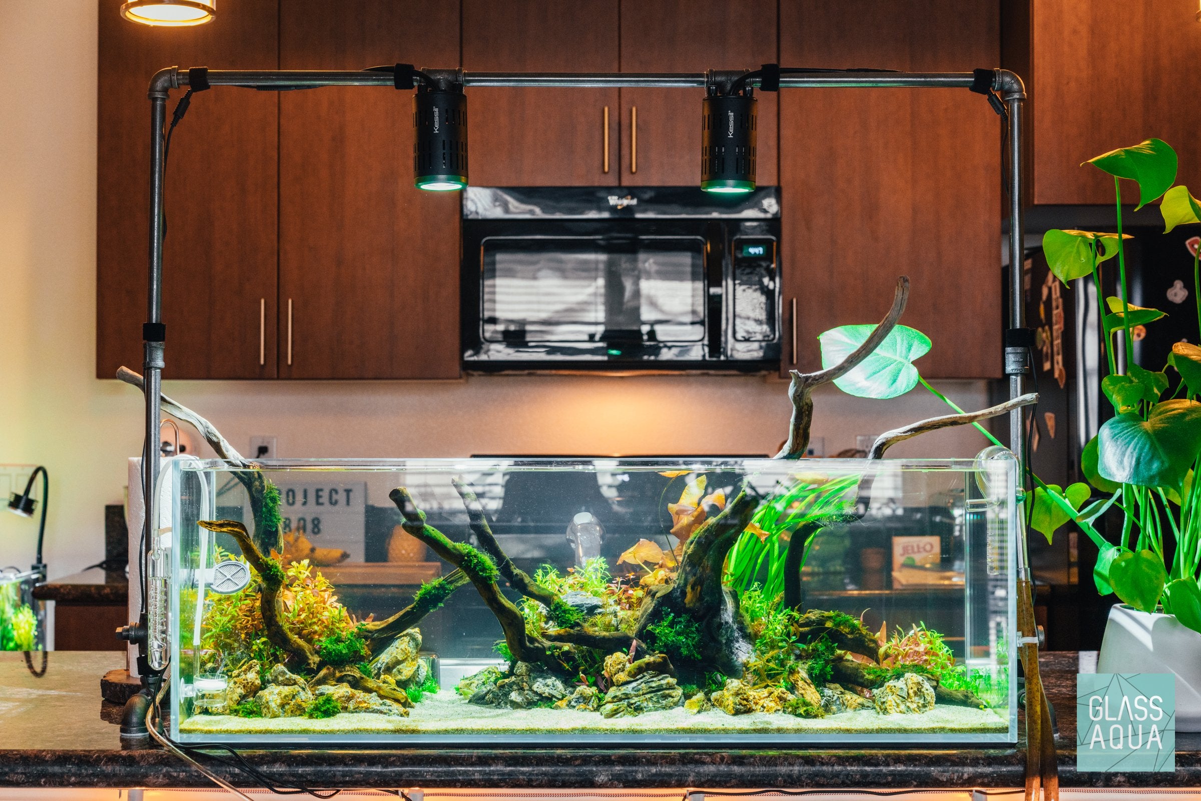 Premium UNS Rimless Long Glass Aquarium Tank - Crystal Clear View for Nano Fish & Shrimp | Perfect for Home Office, Living Room Decor & Zen Aquascaping