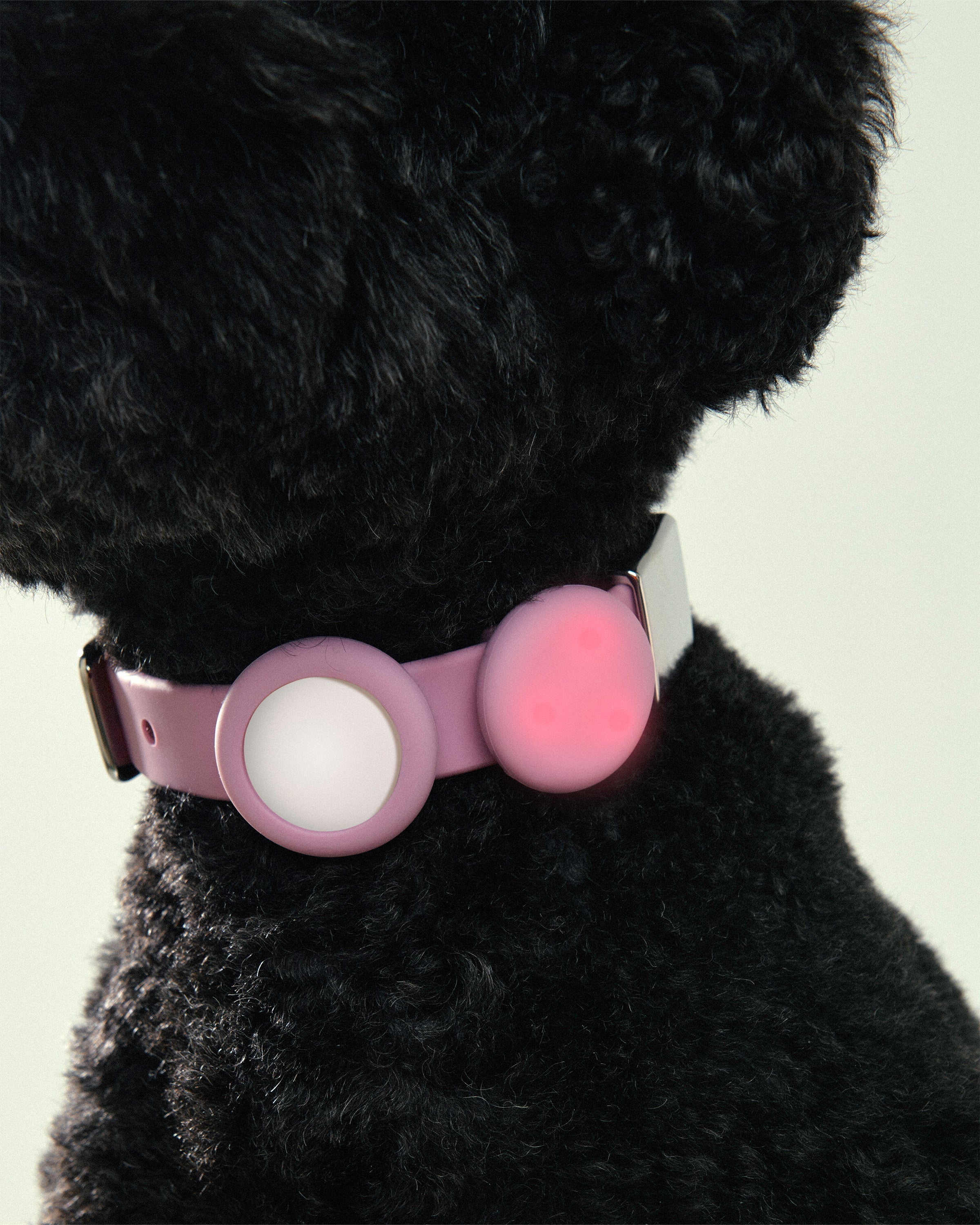Universal Pet Safety Light - High Visibility LED Collar for Dogs & Cats - Perfect for Night Walks & Outdoor Adventures
