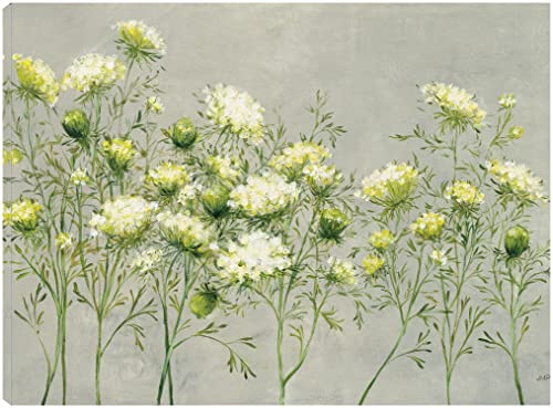 Queen Annes Lace