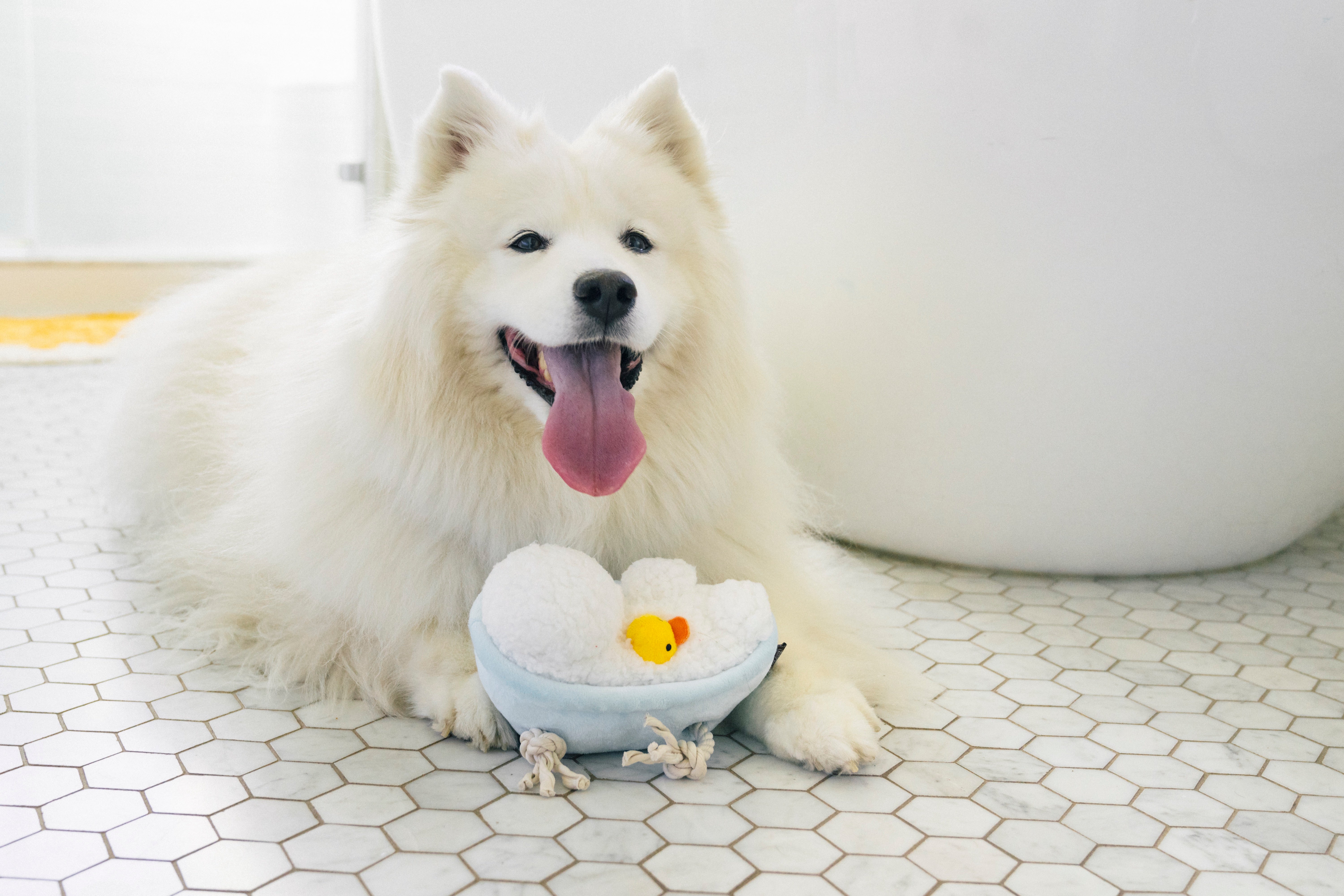 El Rub a Dub Tub Dog Plush Toy Splish Splash™ - Soft Chew Toy for Small & Large Dogs | Pet P.L.A.Y. | Perfect for Bath Time Play & Cuddling