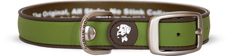 Dublin Dog Collar - Waterproof Olive Green Solid Color Pet Collar for Small Medium Large Dogs - Perfect for Outdoor Adventures, Walks & Training